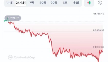 全球虚拟币市值(央行打击境内虚拟货币经营和炒作)