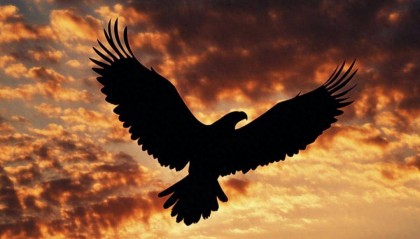 金融壹账通第一季营收3.7亿：同比降49% 运营亏损5600万