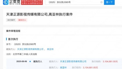 《家有儿女》“夏东海”扮演者高亚麟，被执行310万余元！