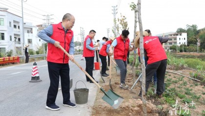 政企共建 “人保振兴林”，金融“活水”浇灌生态振兴