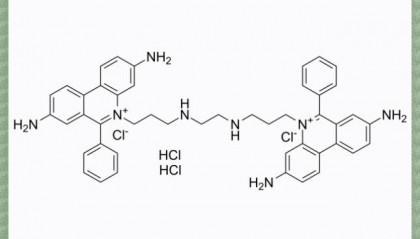 Ethidium Homodimer 1 (EthD-1)，可用于细胞凋亡研究