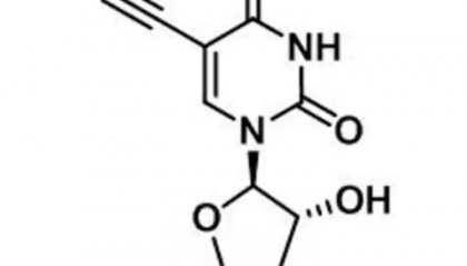 5-Ethynyl uridine，69075-42-9药物研发的理想选择