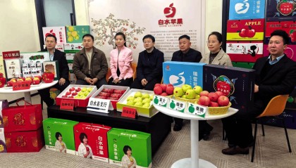 白水县金融服务跨境牵线