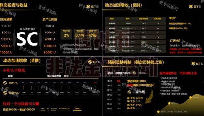 虚拟币传销案(虚拟币传销案例分析)