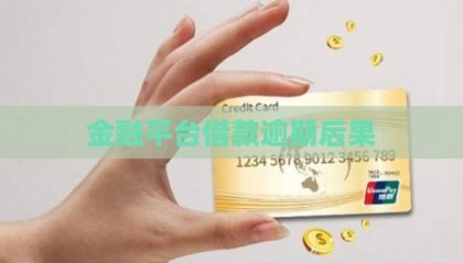 金融平台借款逾期后果