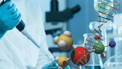 tert-Butyl 3-（2-azidoethoxy）propanoate，1374658-85-1