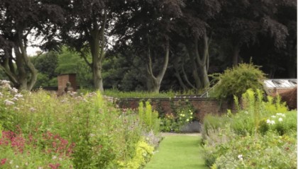 奥克兰大学金融专业：洞察金融市场风云变幻