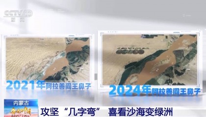 5年防沙治沙超6500万亩 荒漠变绿洲内蒙古付出了哪些努力