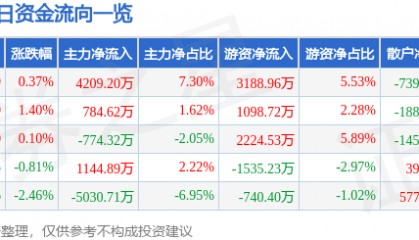 股票行情快报：焦点科技（002315）8月19日主力资金净买入4209.20万元