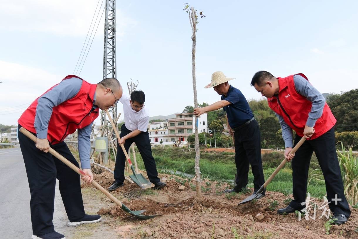 政企共建 “人保振兴林”，金融“活水”浇灌生态振兴