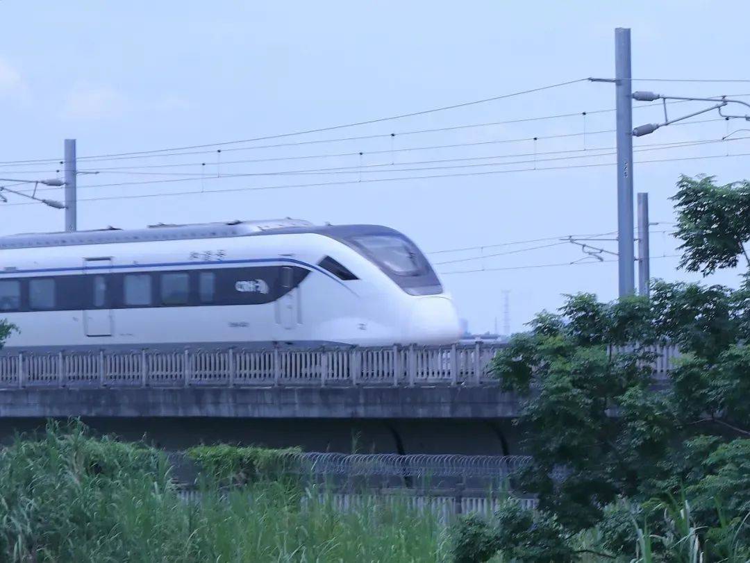 事关收入！8月底前抓紧修改→ | 早安，荔湾