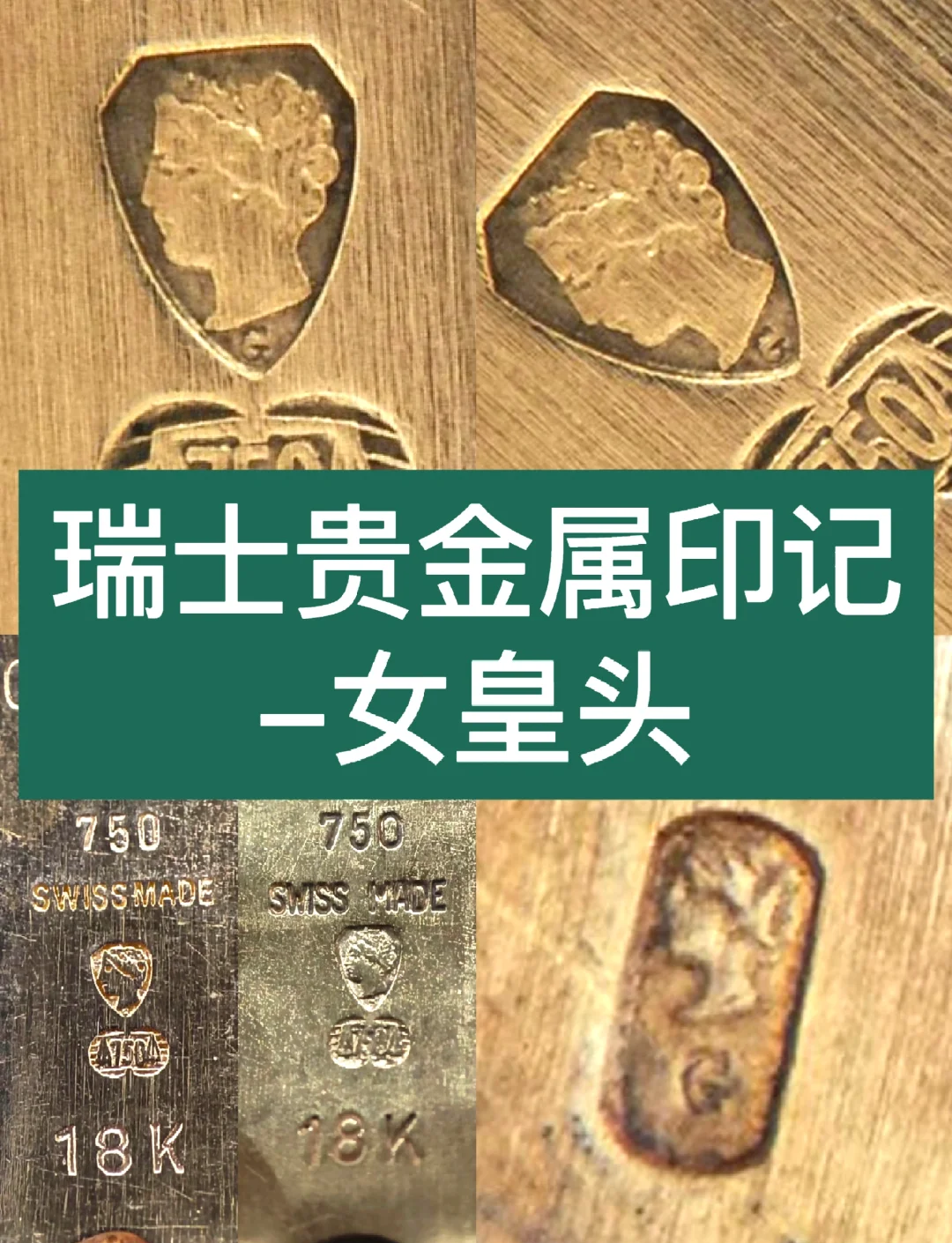 证金贵金属(证金贵金属白雪峰)